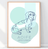 Personalised Pet Contemporary Line Drawing